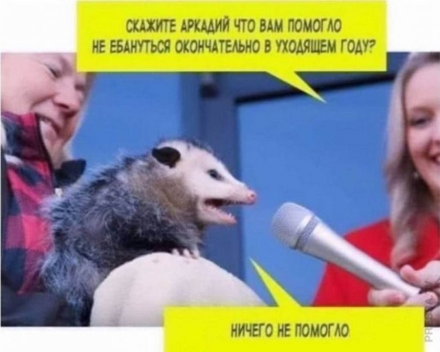 Так себе картинки 06.01.24
