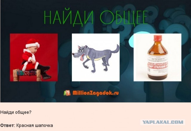 Так себе картинки 19.02.24