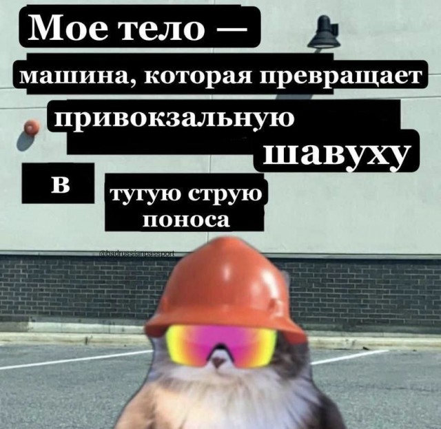 Никакие картинки