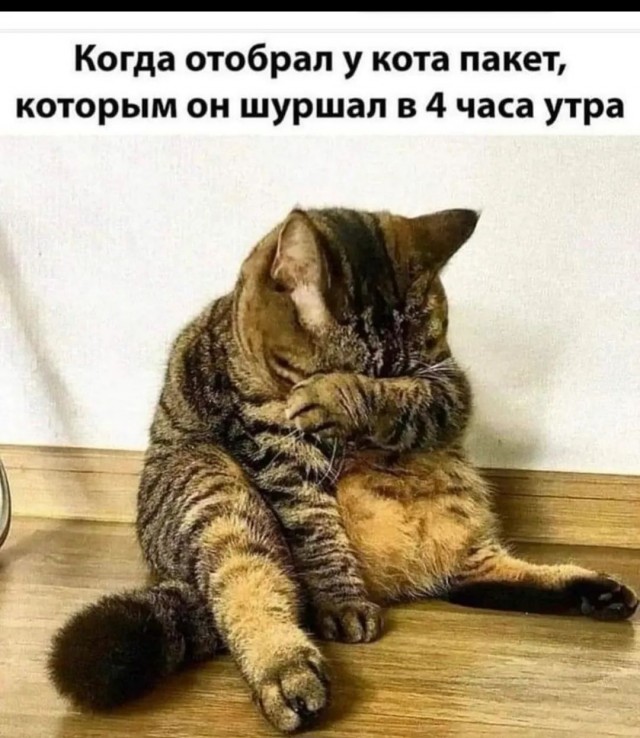 Завалялось тут случайно немного забавных картинок