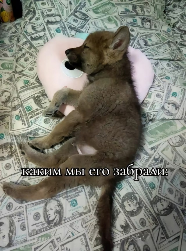 Плюс верный друг, минус бочок