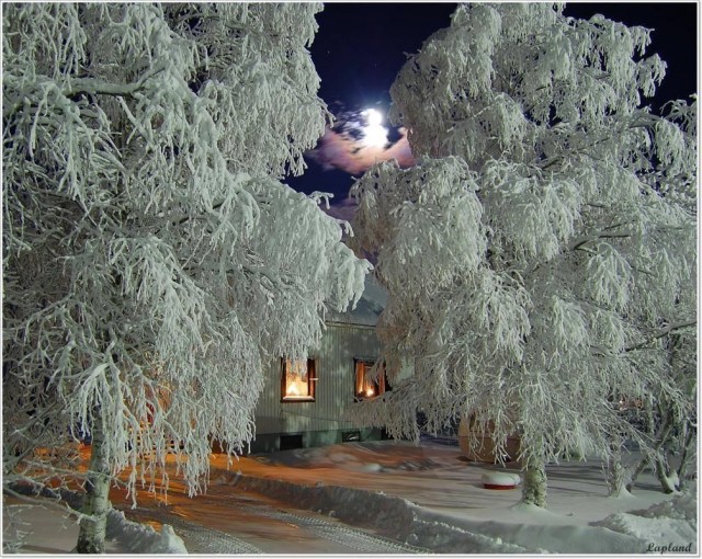 Так себе картинки 11.11.24
