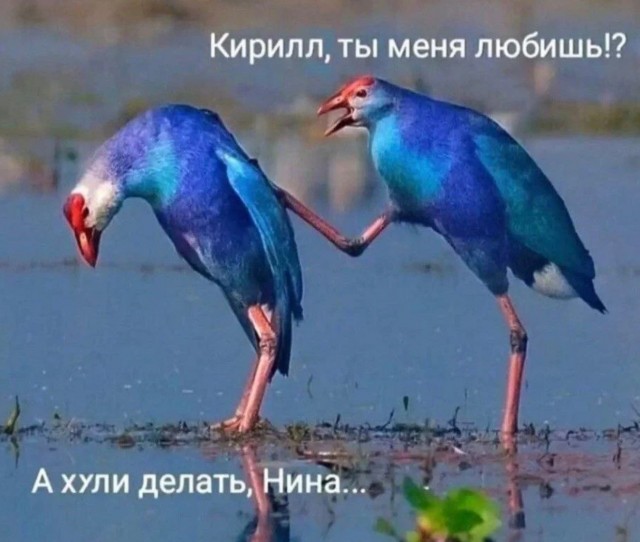 Завалялось тут случайно немного забавных картинок