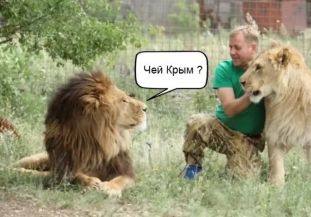 «Я воскрес. Ещё немножко есть дырки, которые зарастут»