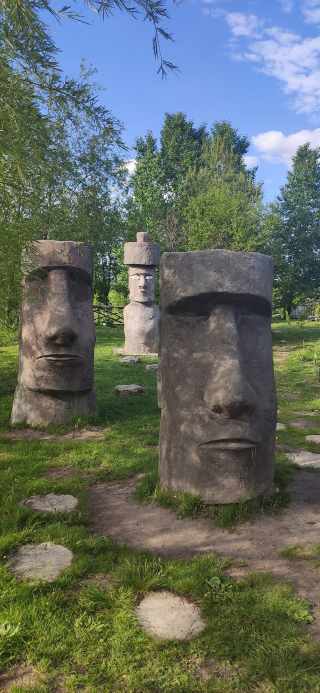 «Эко-френдли». В Соликамске строители перенесли работы, чтобы дать ласточкам вырастить птенцов