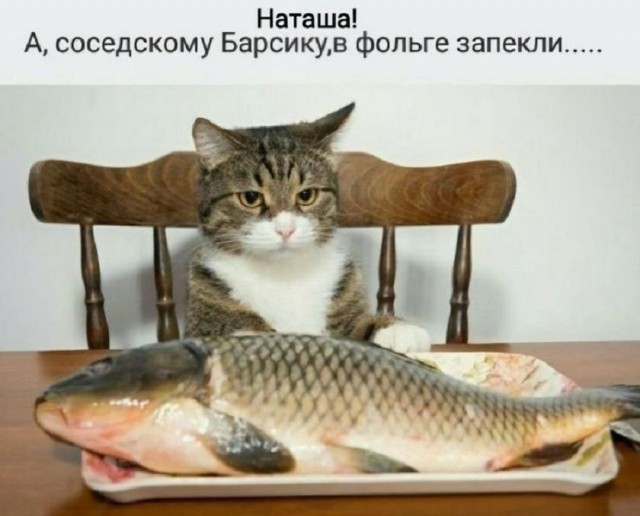 Так себе картинки 16.07.25