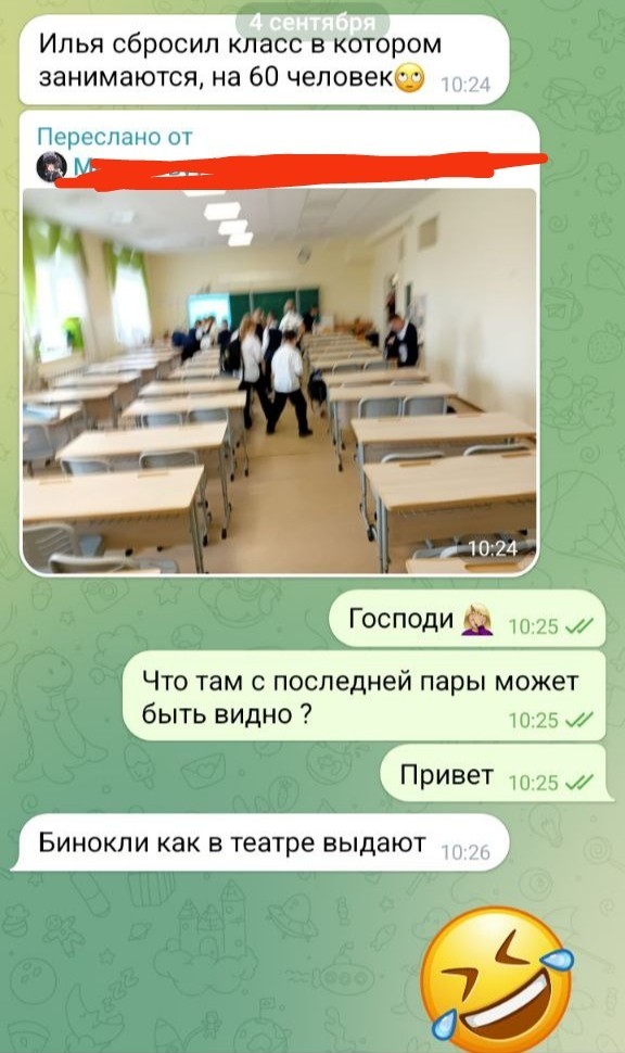 Лицей 95 в Челябинске. Классы по 60 человек.