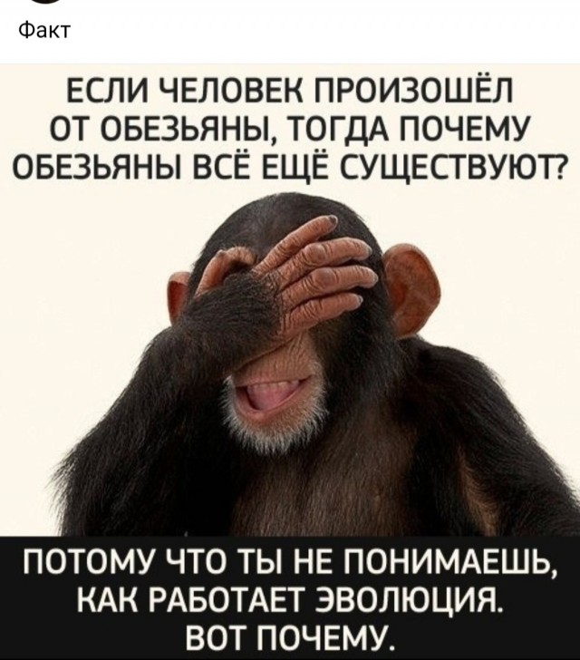 Картинки для деградации 74 (разной степени свежести)