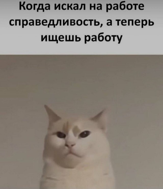 Небаянистая деградация 8