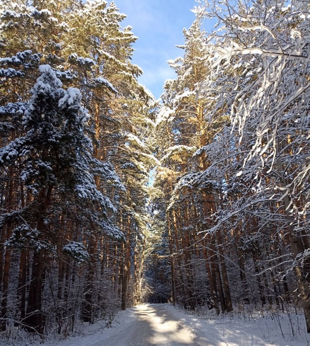 Зимняя дорога