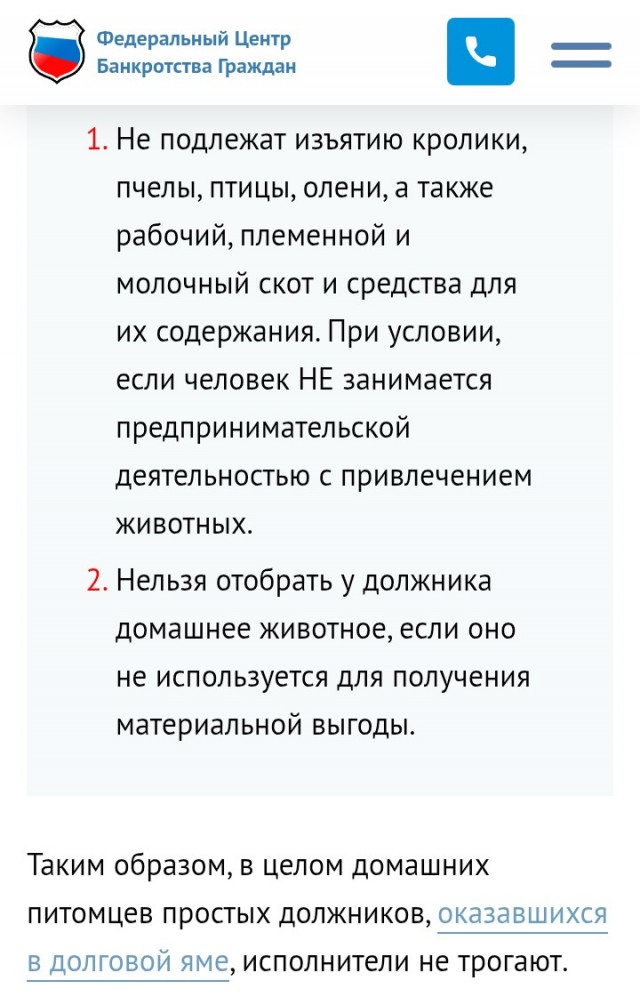 Кота могут арестовать и продать за долги хозяина