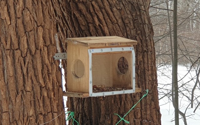 С белочкой нужно дружить заранее! Или пост про рукожопство.