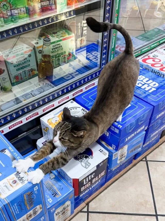 Потягушеньки