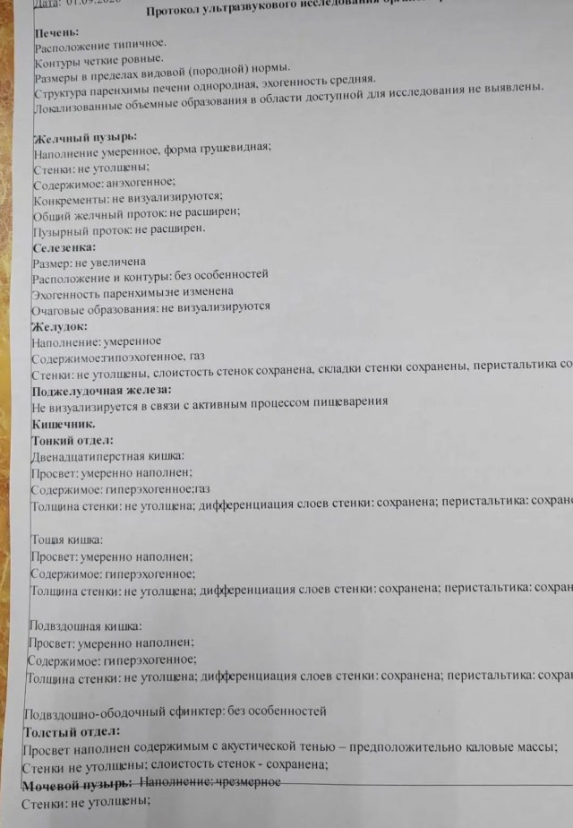 Спасти животинку