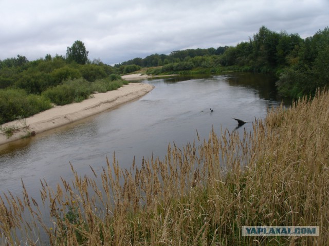 Река Узола. Рыбалка.