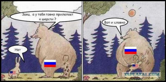 Штурмовые медведи – насмешка над «тупыми русскими»