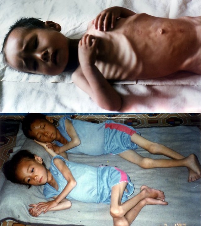 Как живут люди в Северной Корее