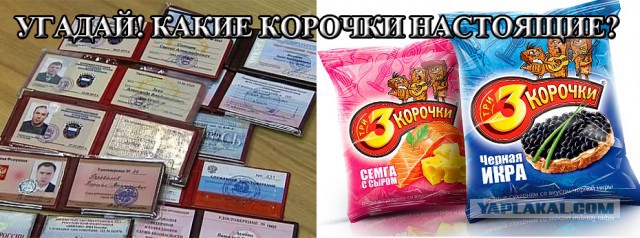 СтопХамСПб - Мощный