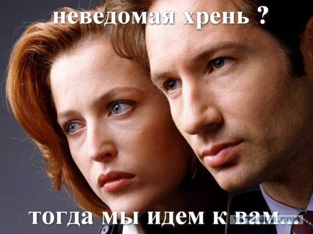 Смотрел телек, как вдруг