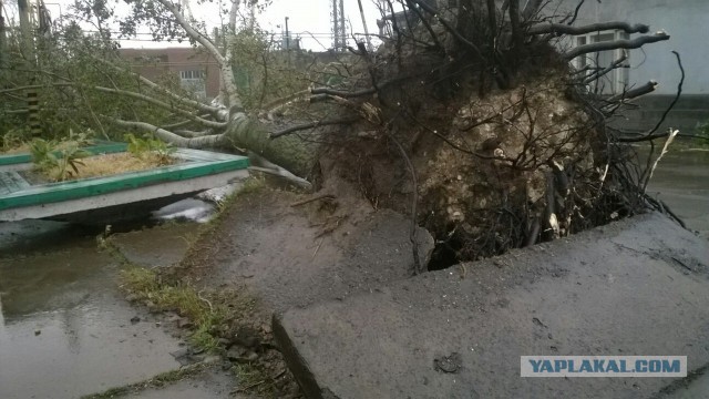 Шторм в Запорожье