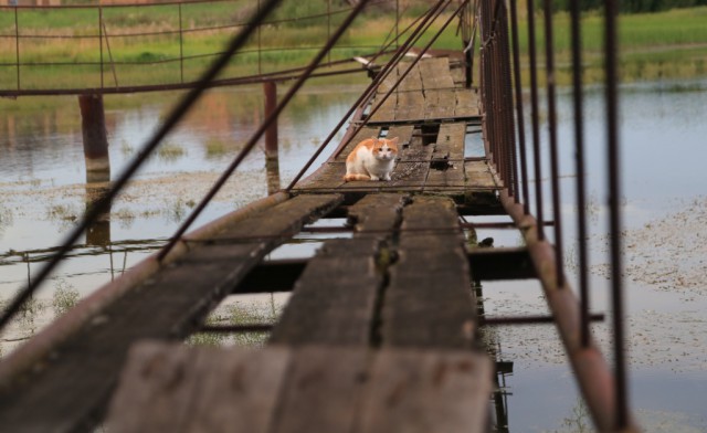 Ну, вот и осень.