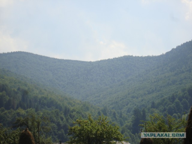 Горганы