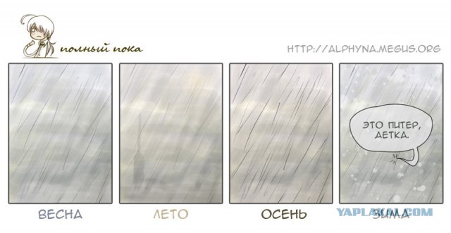 Новости из жизни Краснодара в цифрах