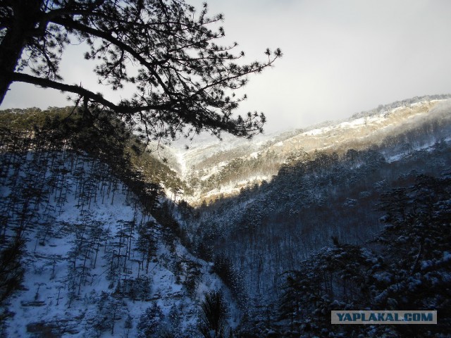 И в Крыму бывает снег