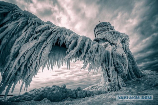 Лучшие фотографии месяца
