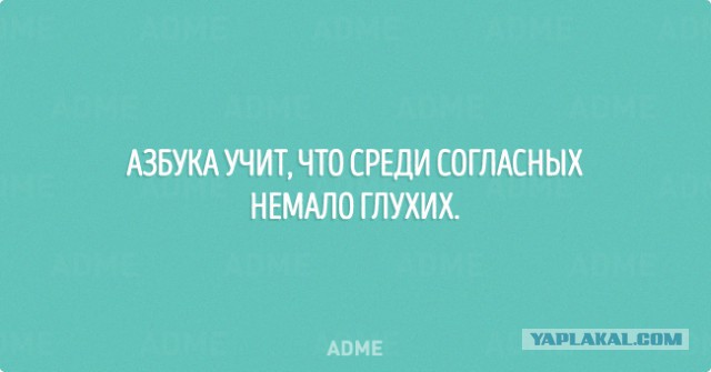 Картинки из интернета