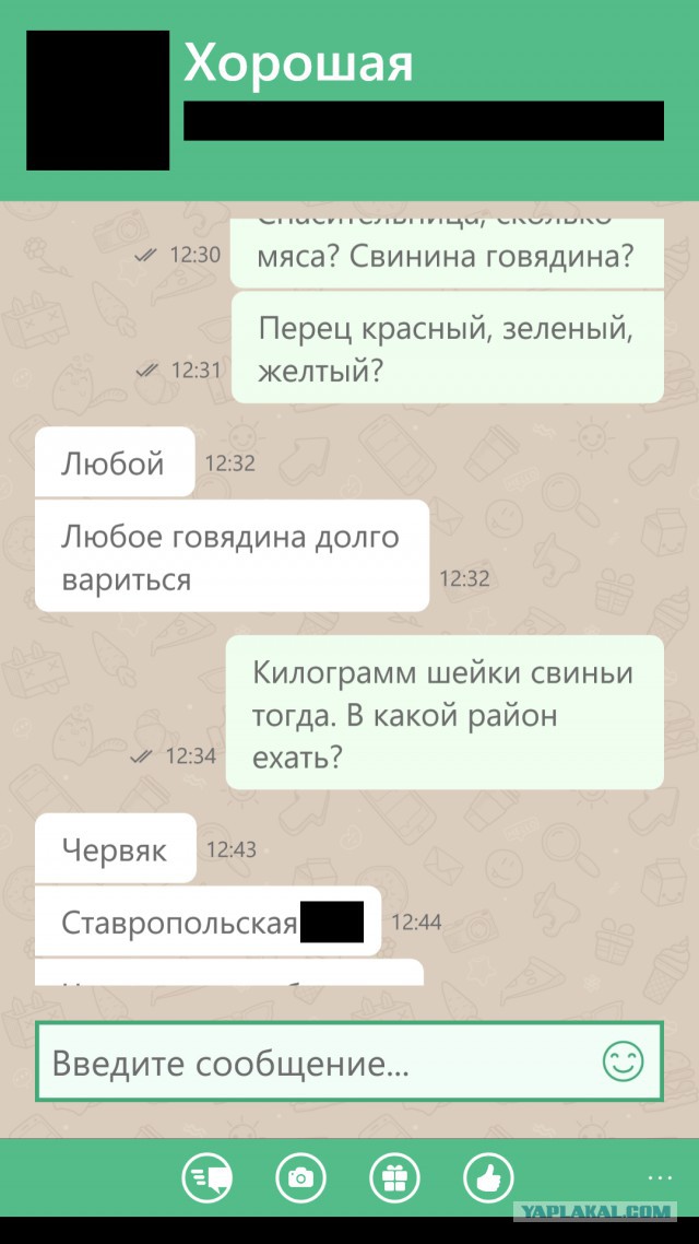 Как я борща захотел