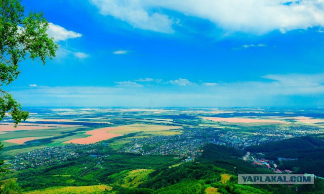 Отдых в Белокурихе