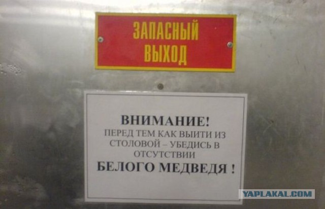 Картинки с надписями