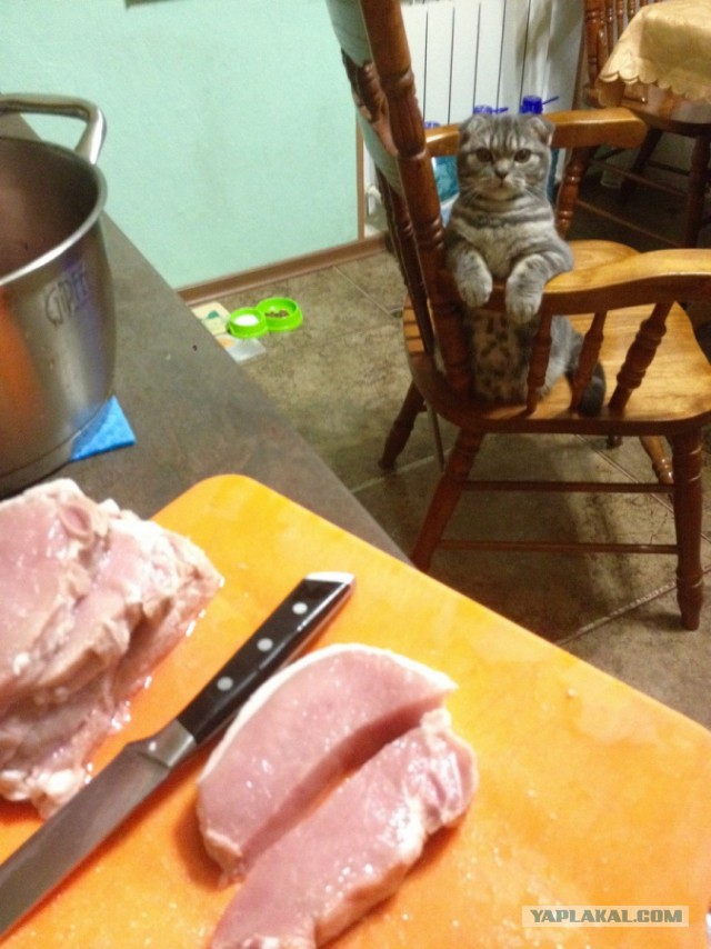 Улыбнемся во вторник