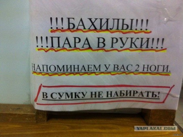 Перлы