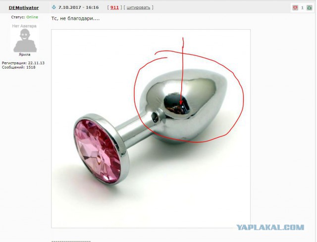 Кошка срет как лошадь...