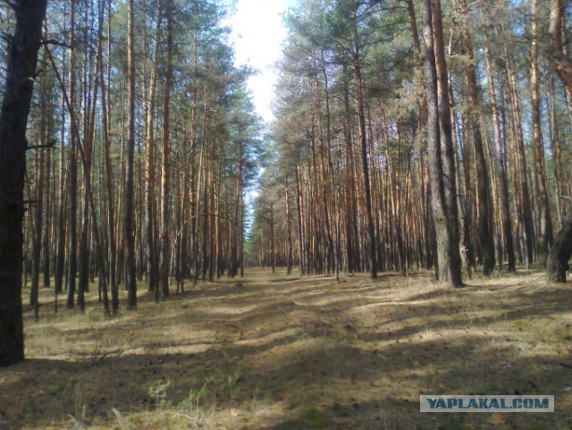 Святогорск, Соледар