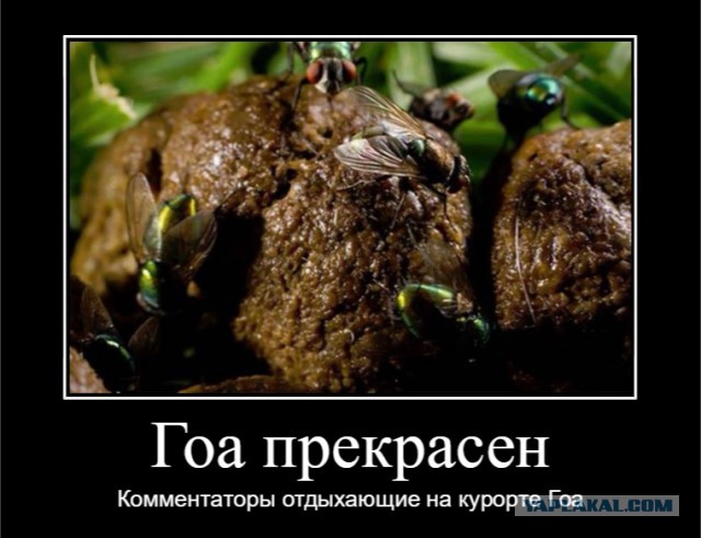 Осторожно Гоа!