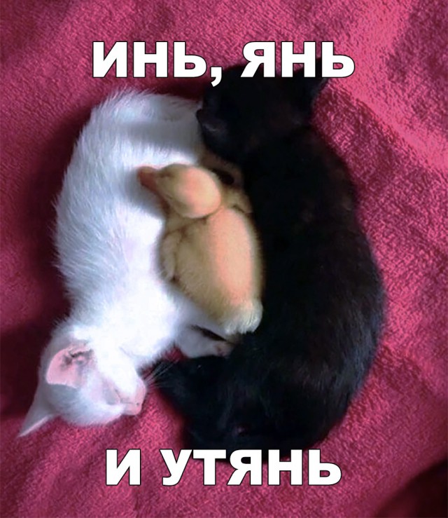 Нестандартный юмор