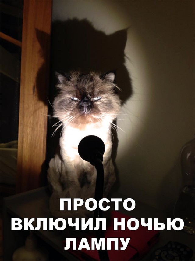 Нестандартный юмор