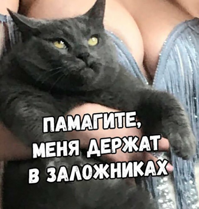 Немного картинок в эту субботу