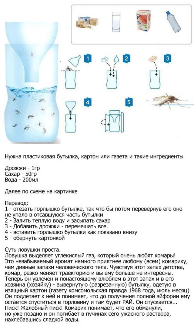 Скоро полетят кровопивцы. Пару советов от народа
