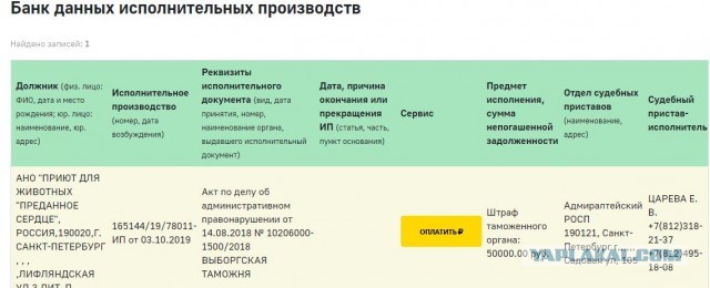 Помогите вернуть кота! Приют "Преданное сердце" украл кота и не отдает!