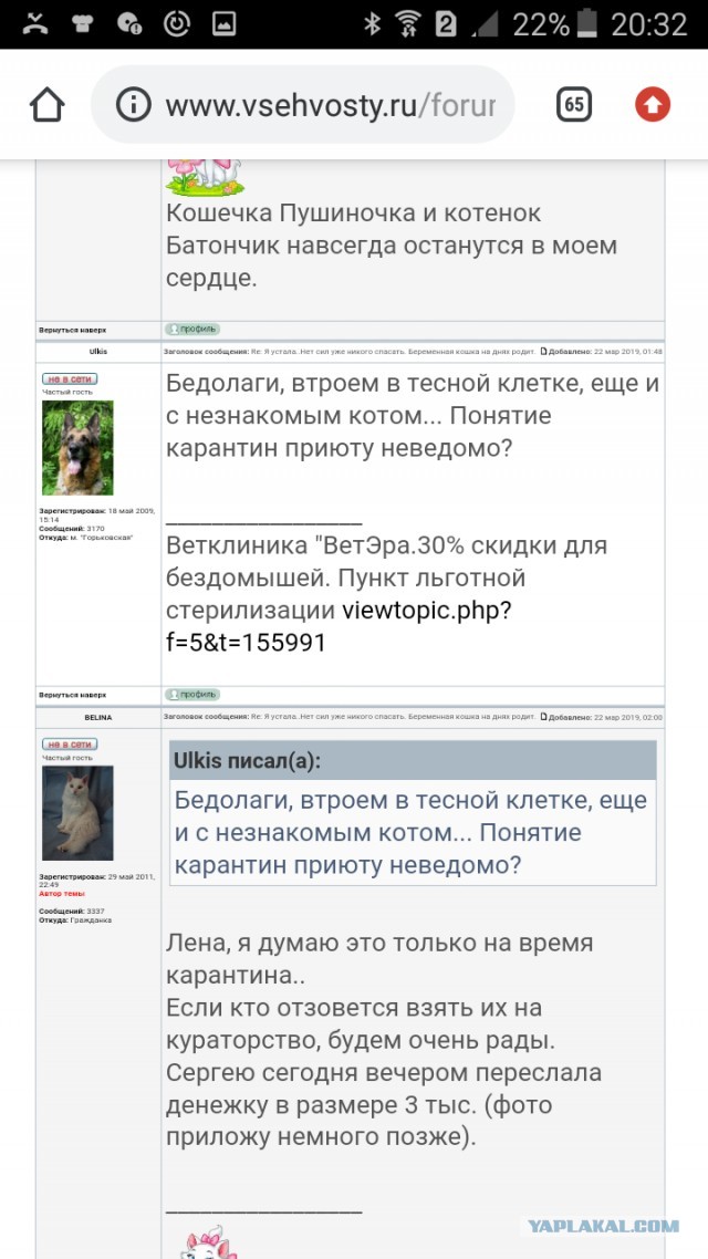 Помогите вернуть кота! Приют "Преданное сердце" украл кота и не отдает!-2