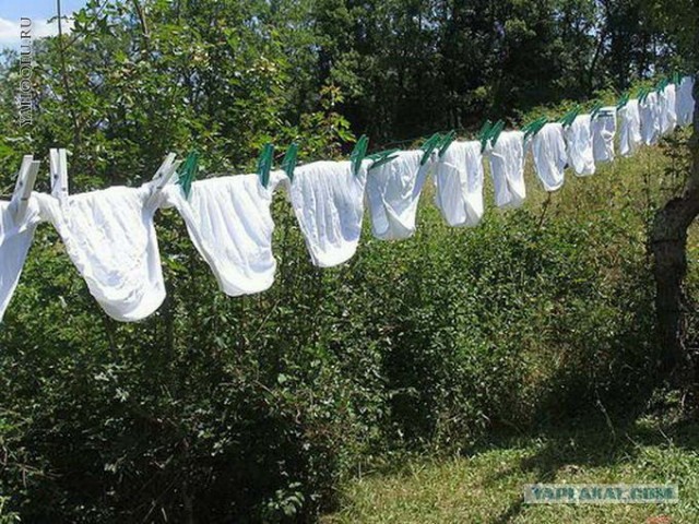 Бизнесвумен