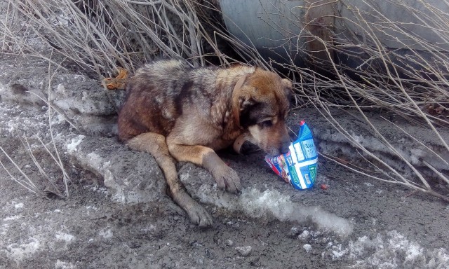Пятно
