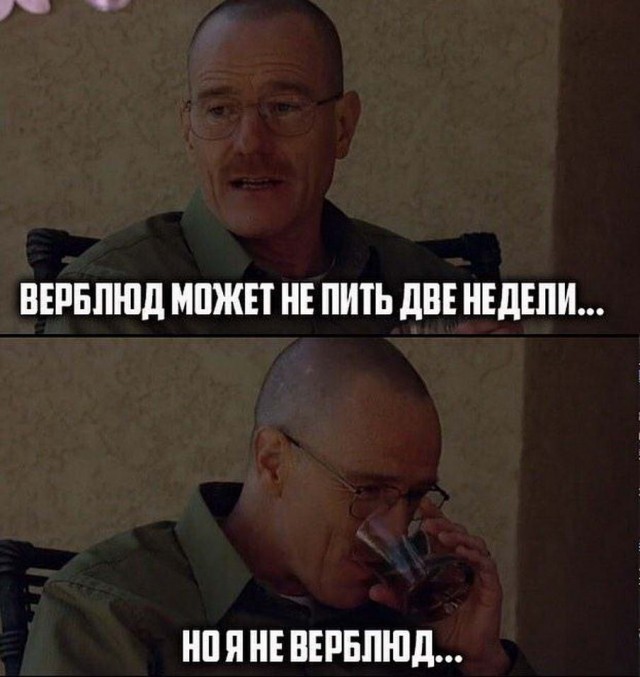 Чуток картинок 13.06.20