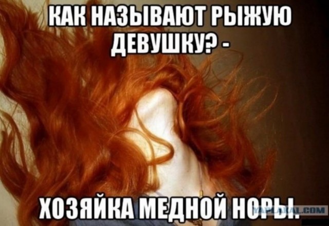Пятница. И немного слегка пошлых картинок с надписями и без 16+ (27.11)
