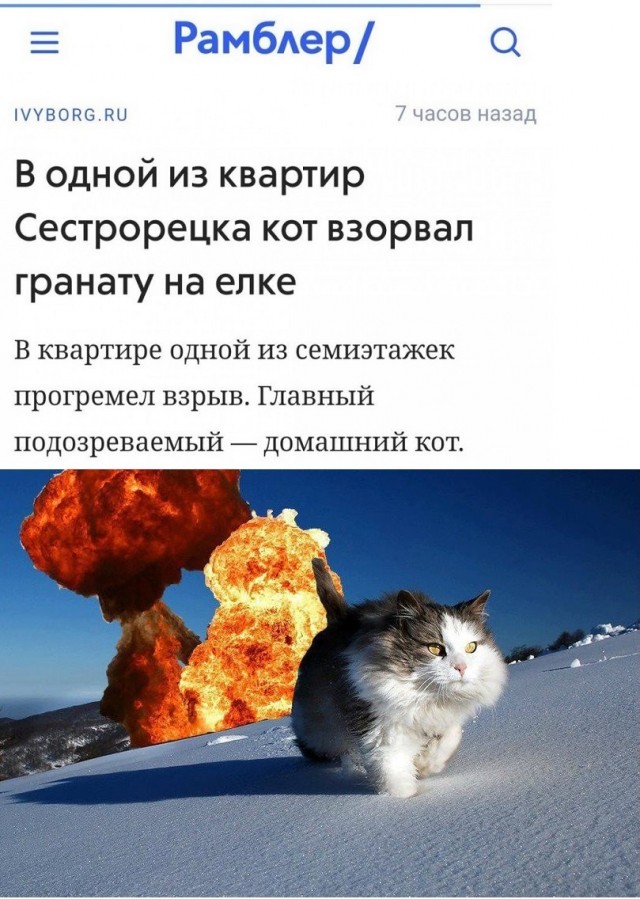 Картинки с надписями и всякие жизненные фразы 2.01.2021