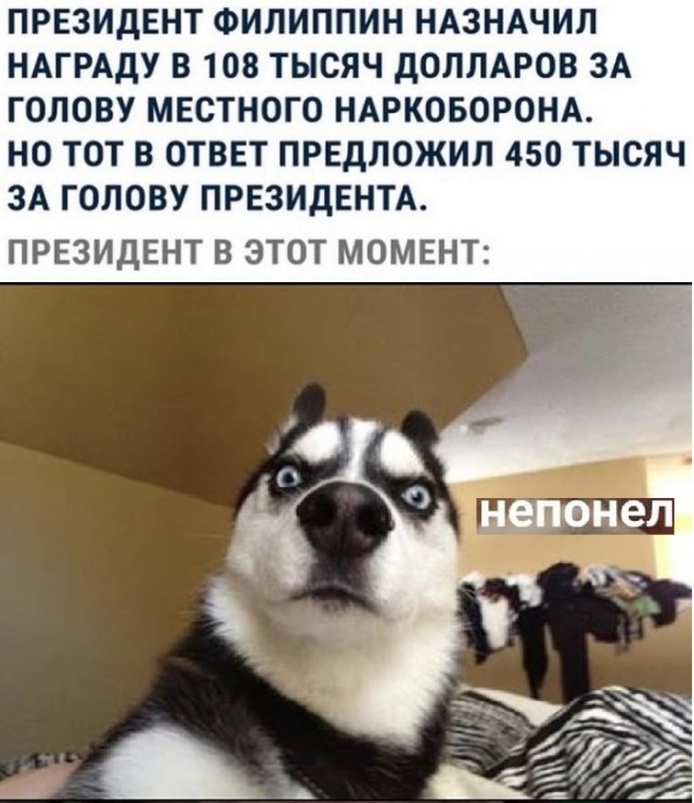 Картинки с надписями и всякие жизненные фразы 14.1.21